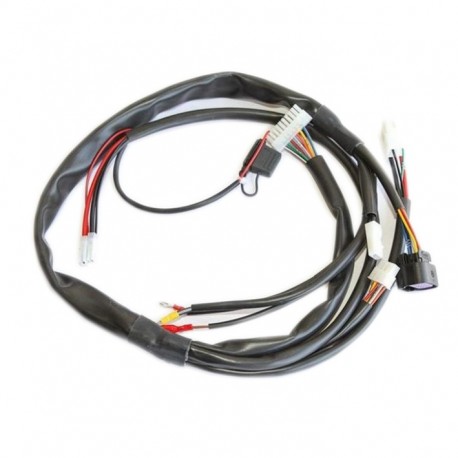 CABLEADO IAME X30 2013