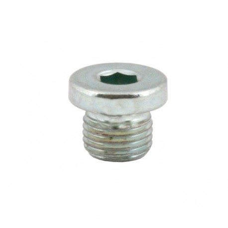 TORNILLO TAPON BOMBA FRENO M10X1