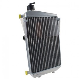 RADIADOR ROTAX DD2