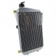 RADIADOR ROTAX DD2